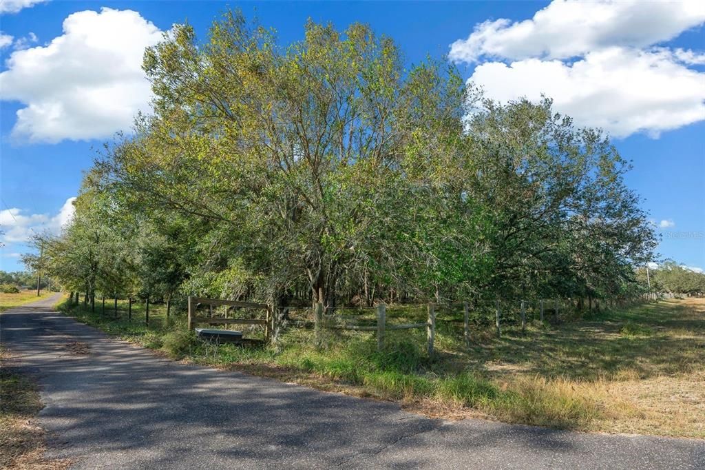 For Sale: $335,000 (5.03 acres)