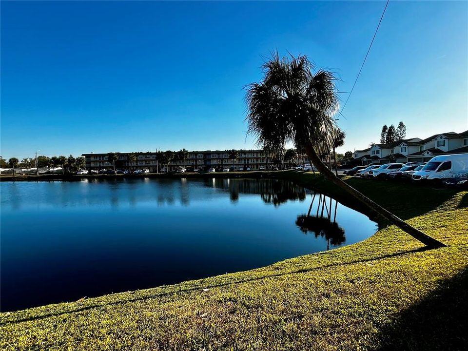 Lakeview from pool