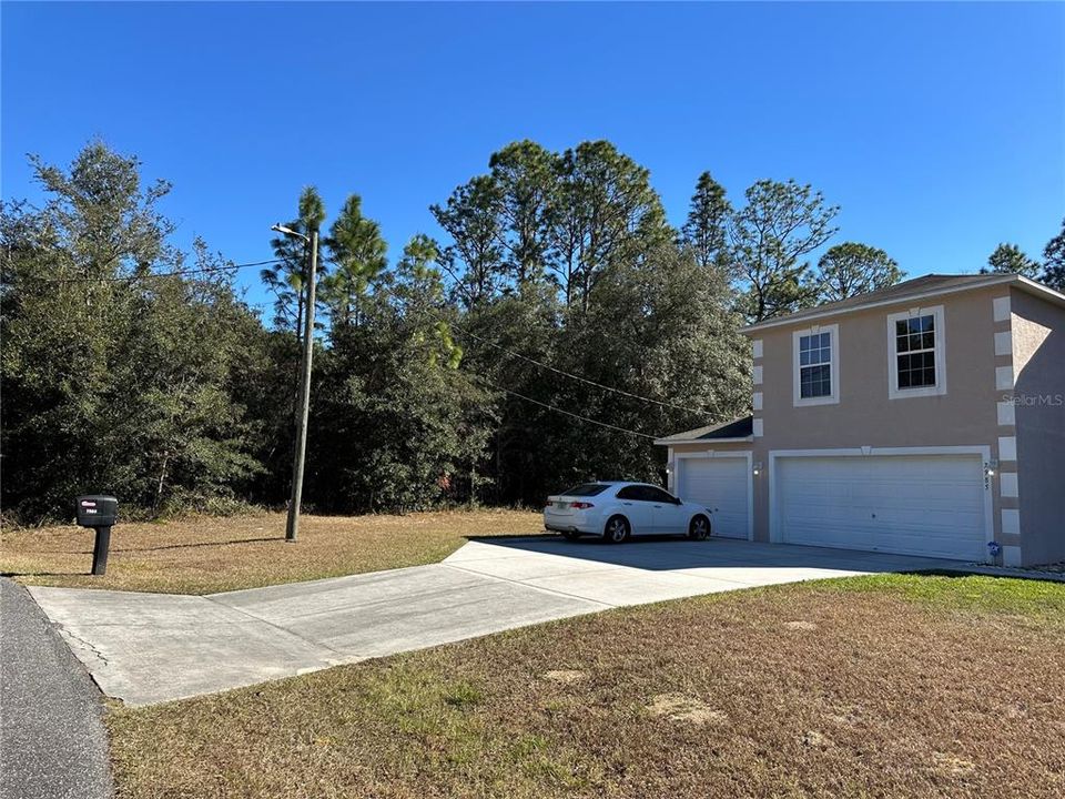 Trees in rear of photo are west side of lot.