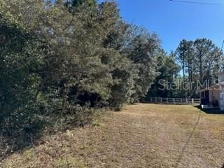 West side of lot at neighbor's property line.