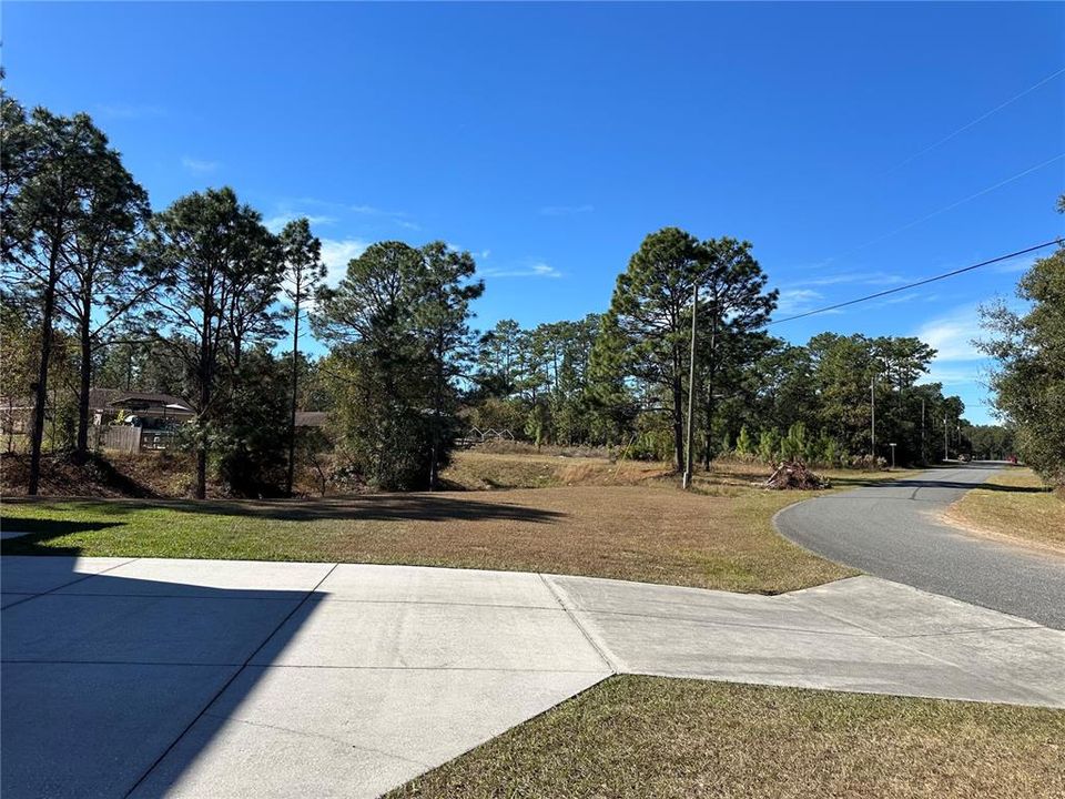 View to left (neighbor's driveway and beyond).