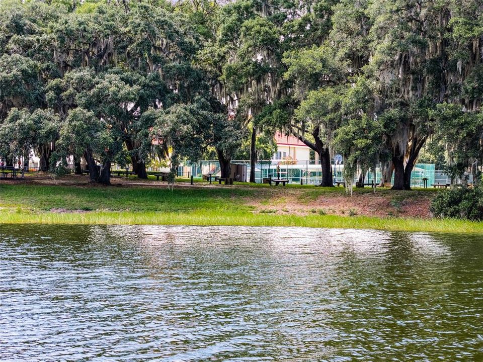 partial view of Lake Evert