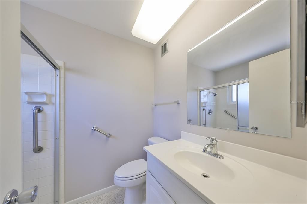 Primary bath, shower stall with glass doors, elongated commode, newer vanity, cloud fixture, grab bars