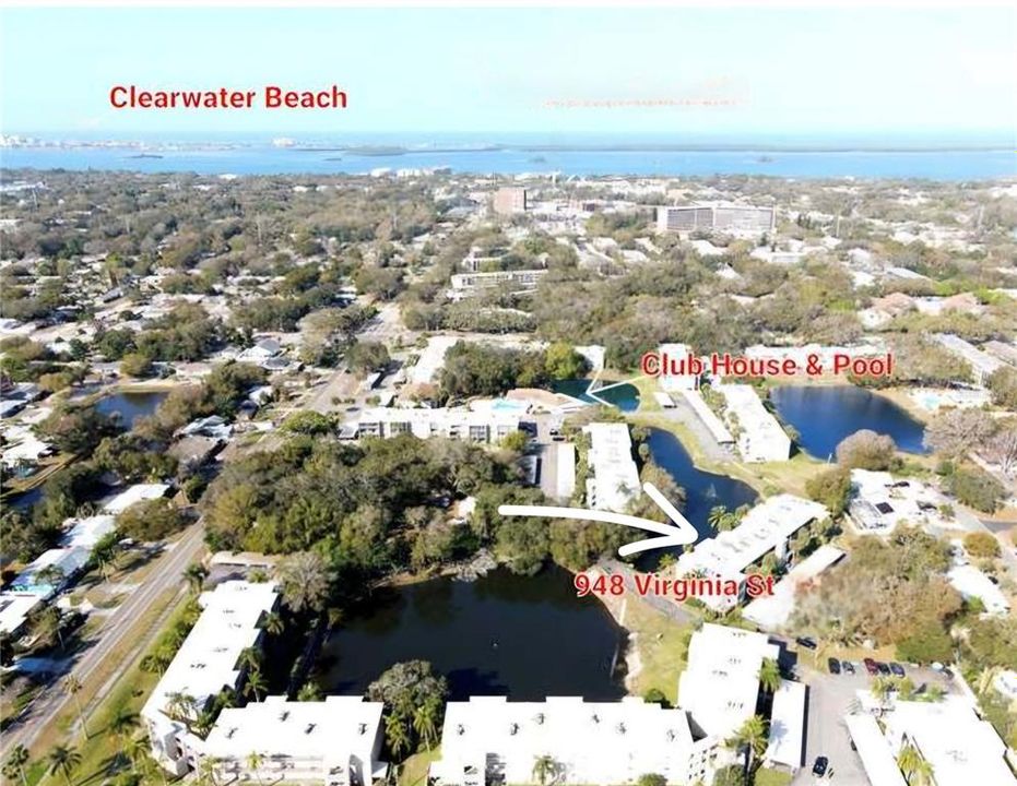 Right near downtown Dunedin and world-class Clearwater Beach.