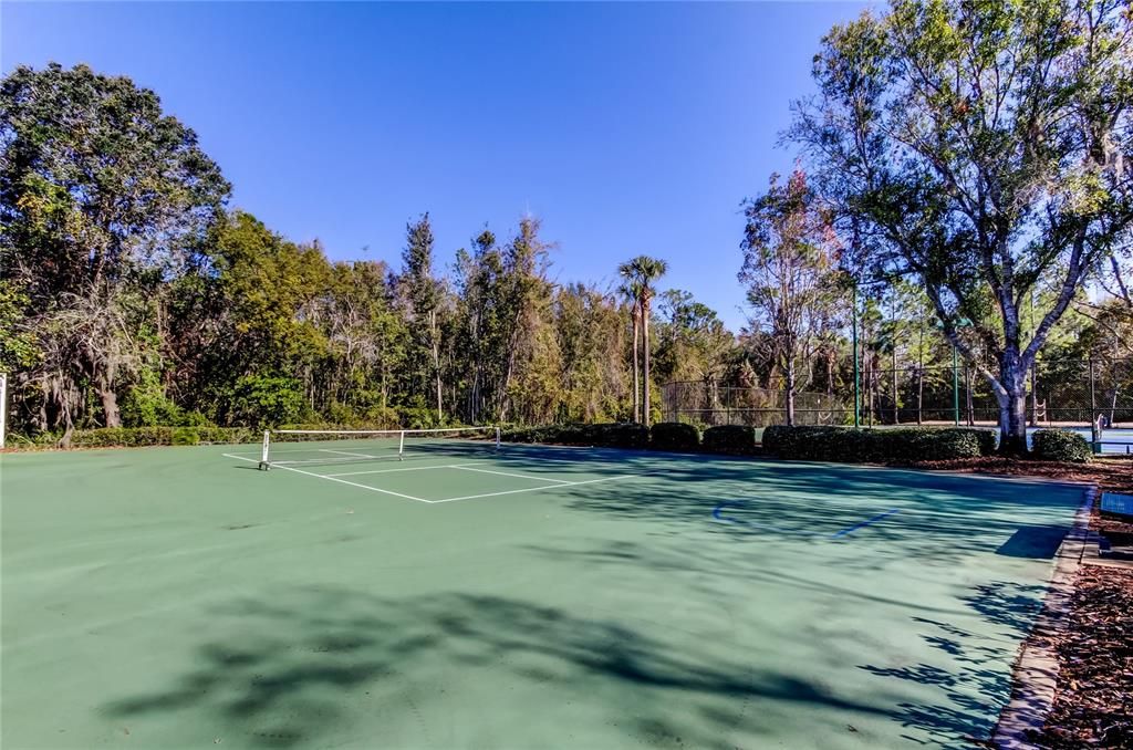 Meadow Pointe 3 Tennis and Pickle Ball Courts