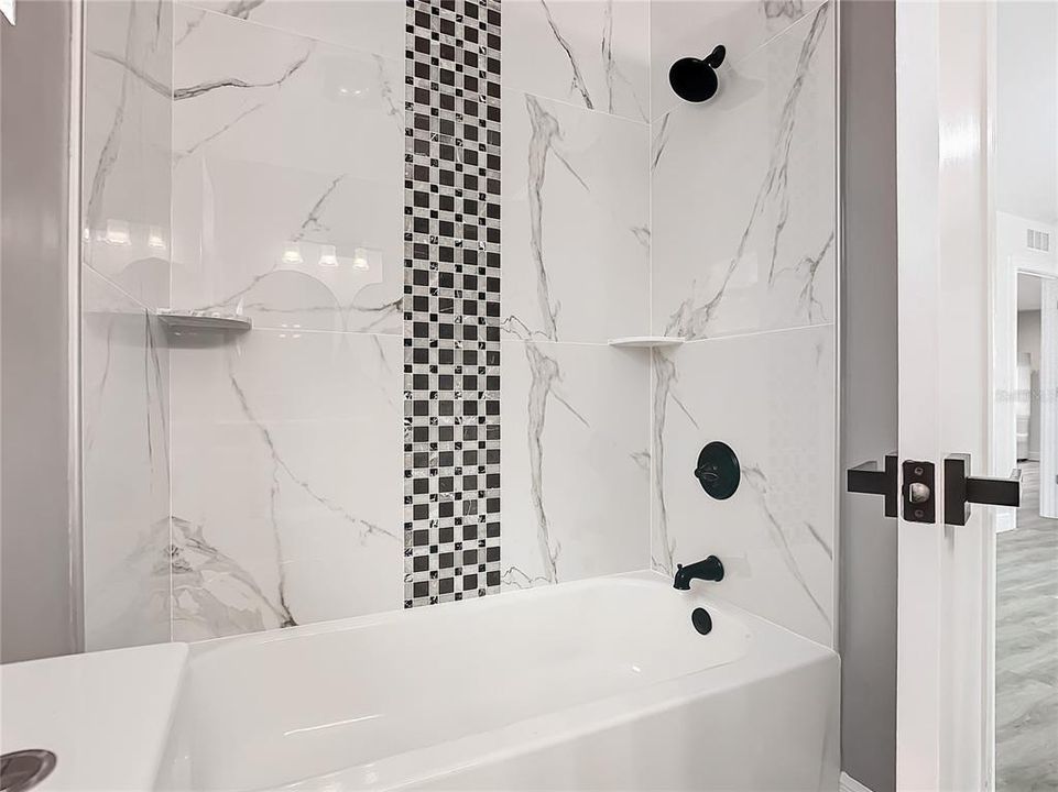 main tub/shower combo