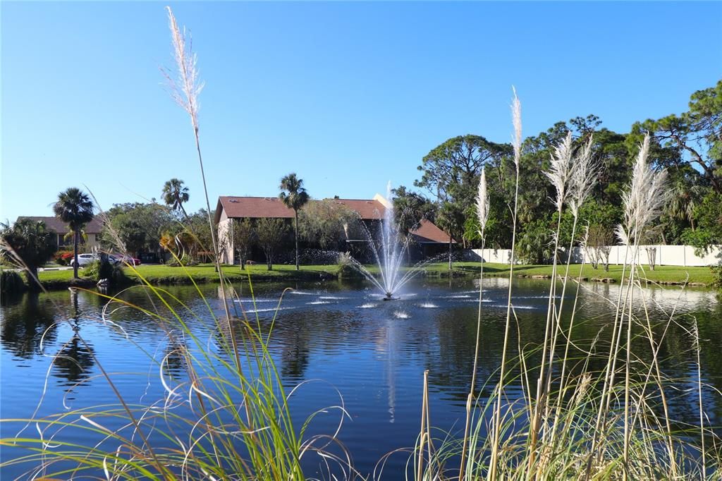 The big pond on the west side of the clubhouse