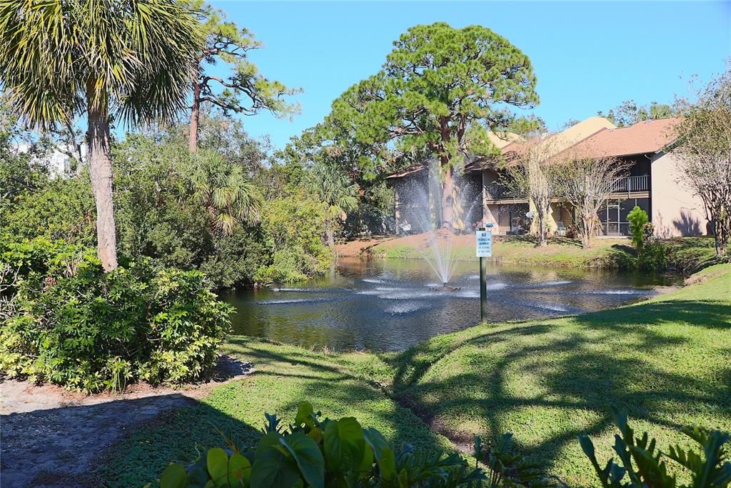 The pond on the east side of the clubhouse