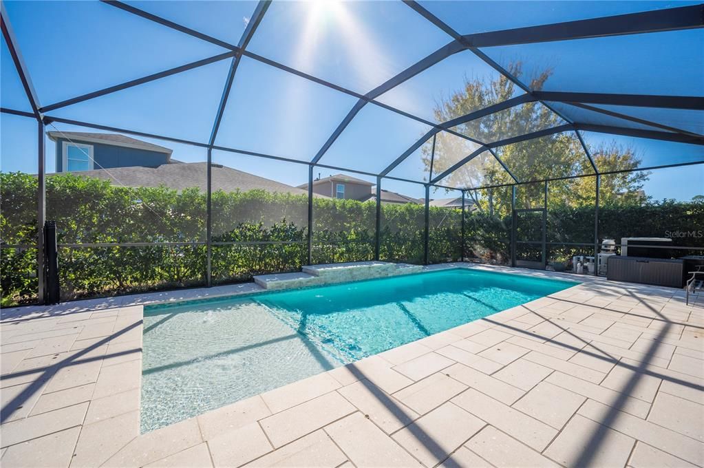 Custom Pool with Water Feature