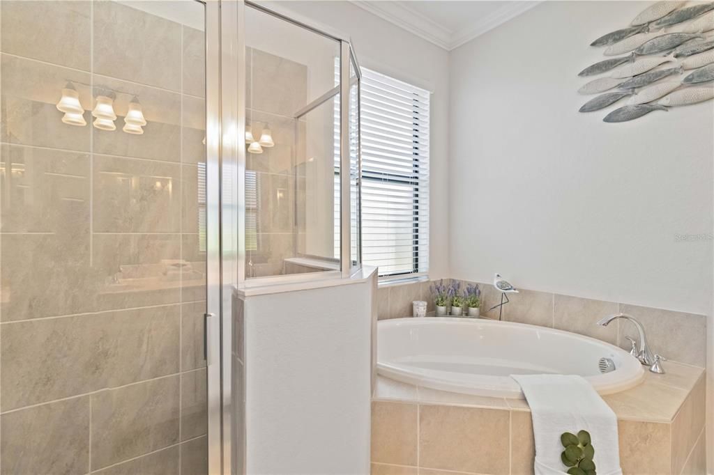 Soaking tub and separate shower