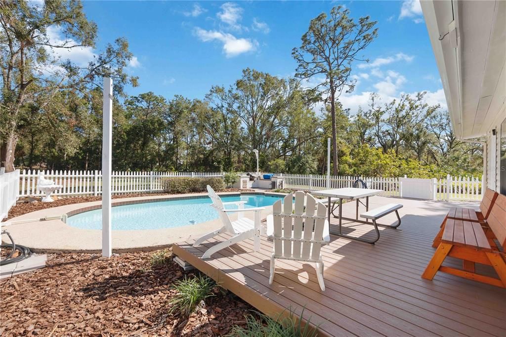 Pool and patio area