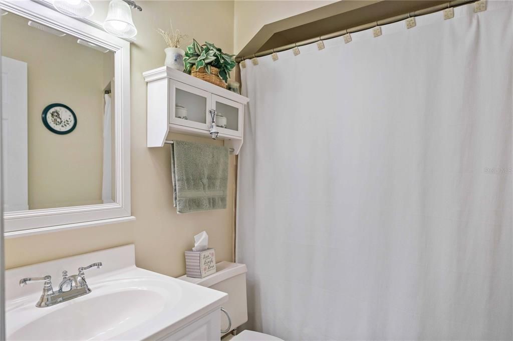 Guest Bath downstairs with tub and shower