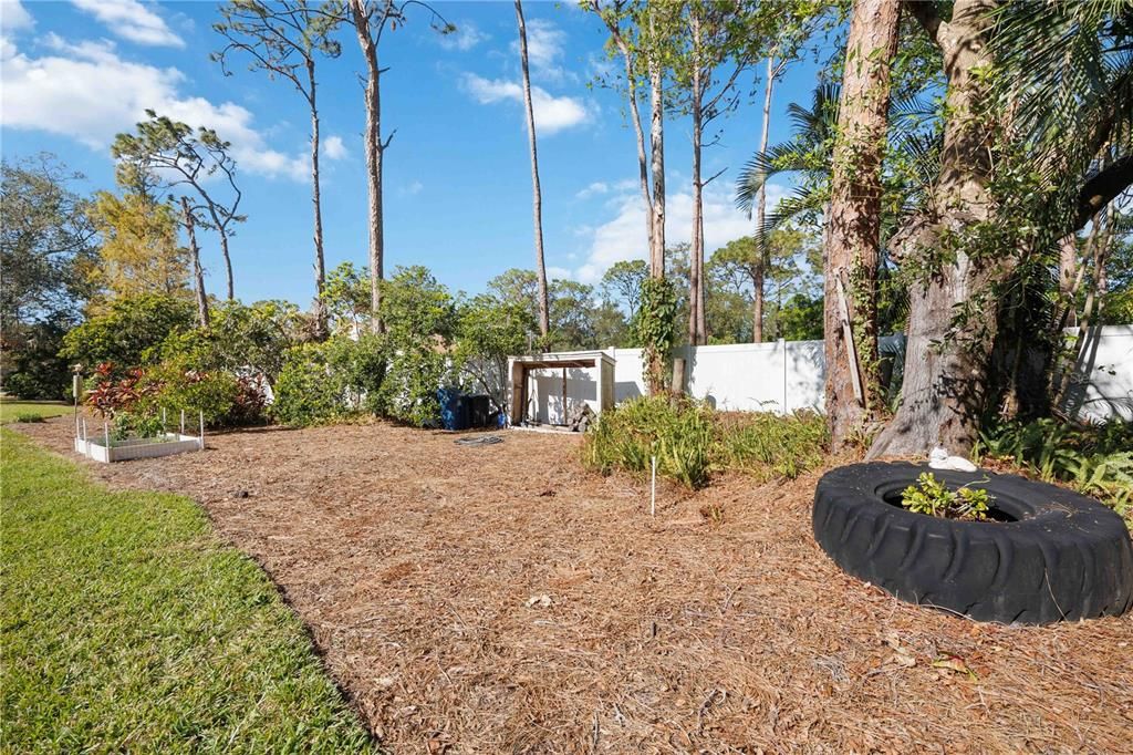 Side garden area of back yard