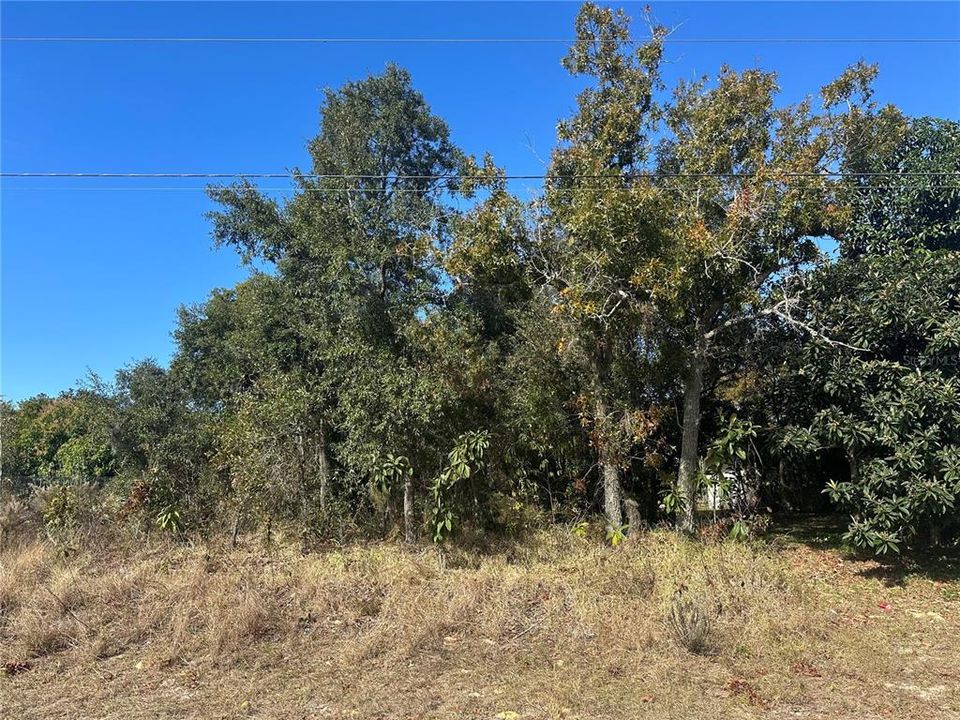 En Venta: $80,000 (0.23 acres)