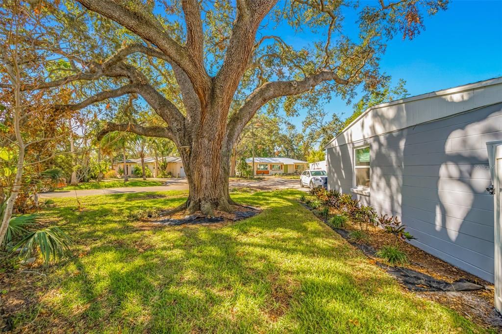 For Sale: $479,000 (4 beds, 2 baths, 1591 Square Feet)