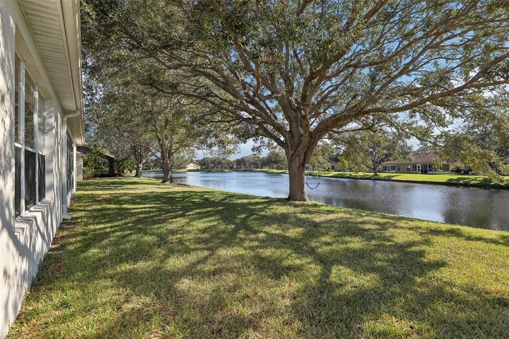 POND VIEWS!