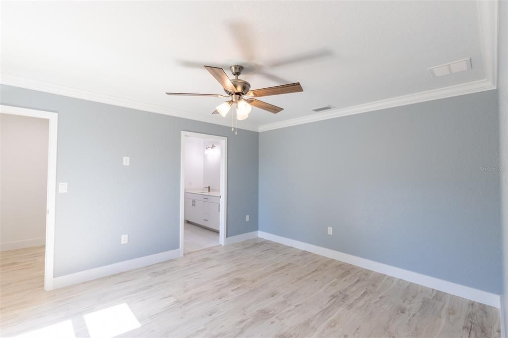 Big master bedroom with a walk-in closet and nice colors/accents.