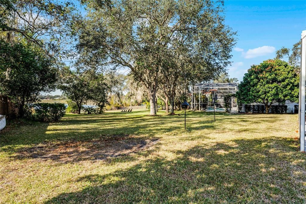 Oversized Lot with Fruit Trees