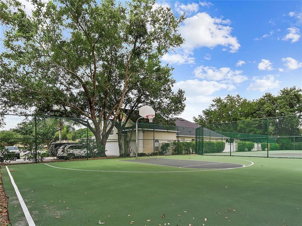 Basketball Court