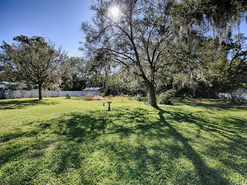 Lovely backyard