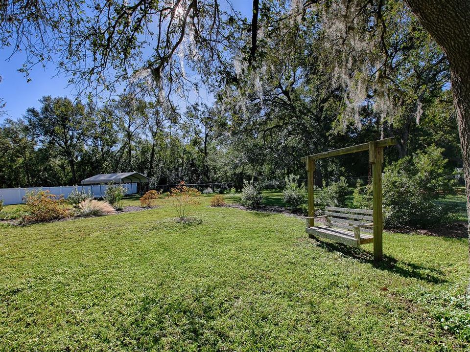 Florida native plants.