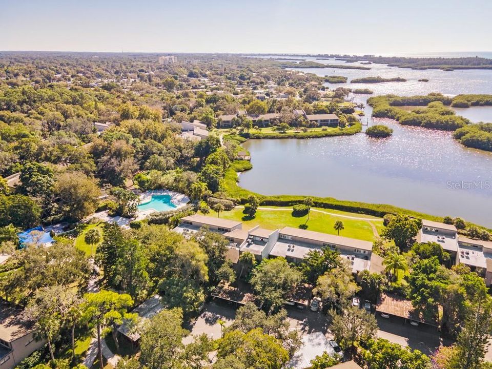 Sarasota Bay views from your living room