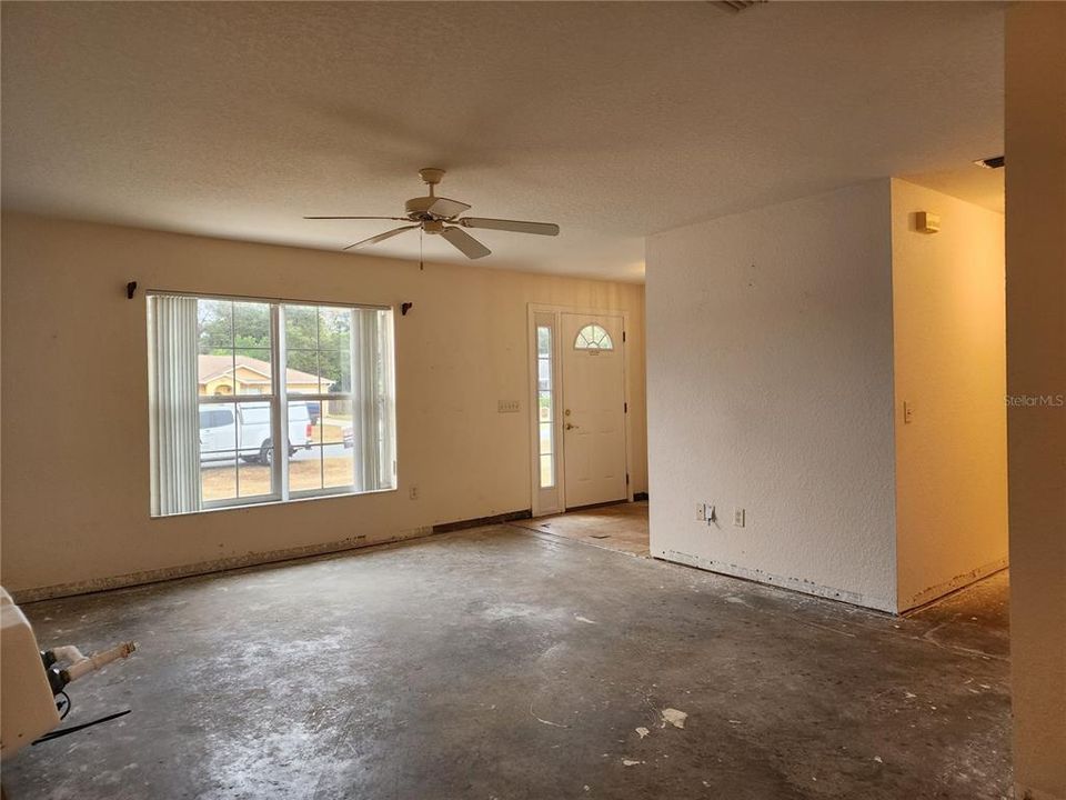 Foyer and Living Room