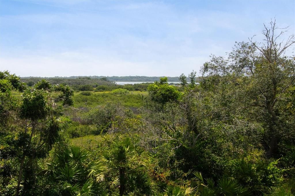 Stunning Intracoastal & Marsh Views