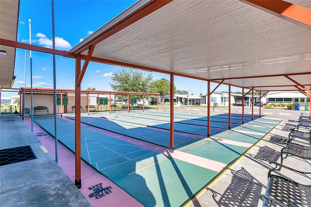 Shuffleboard Court