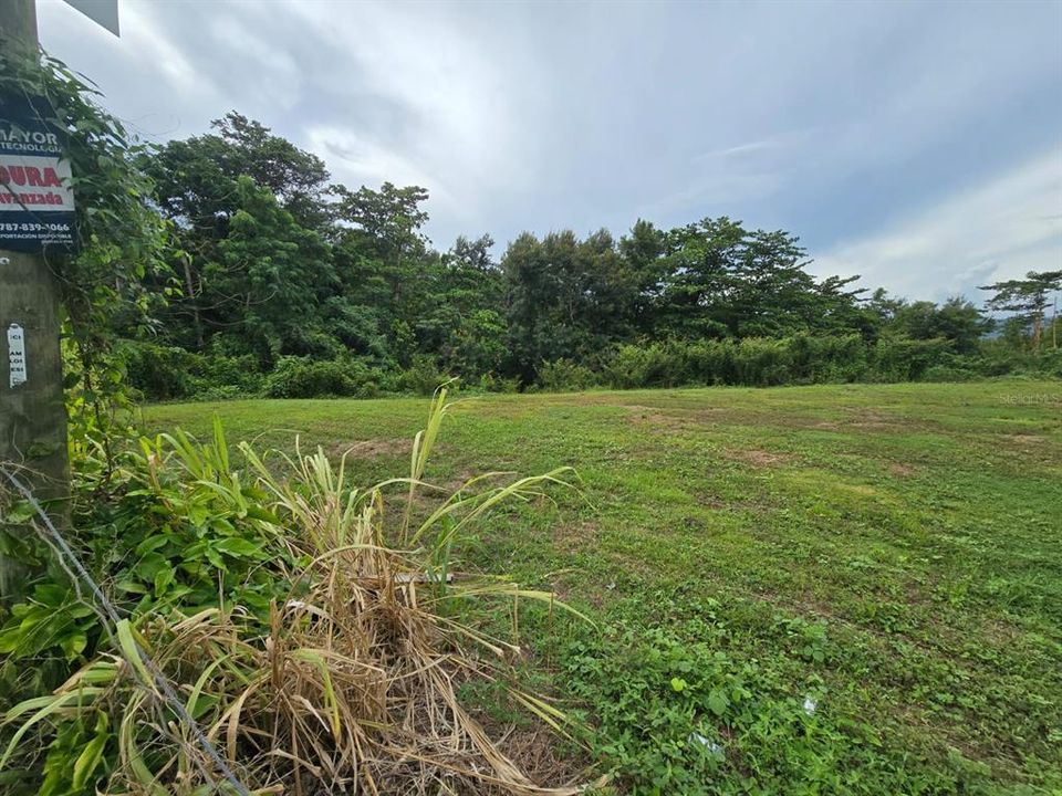 En Venta: $133,800 (1.50 acres)