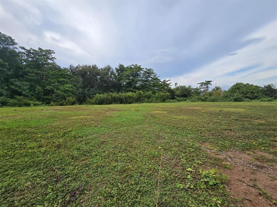 En Venta: $133,800 (1.50 acres)