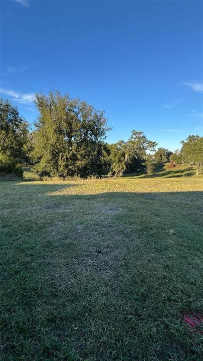 Backyard with Conservation area