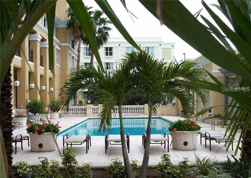 Large Pool and Spa area