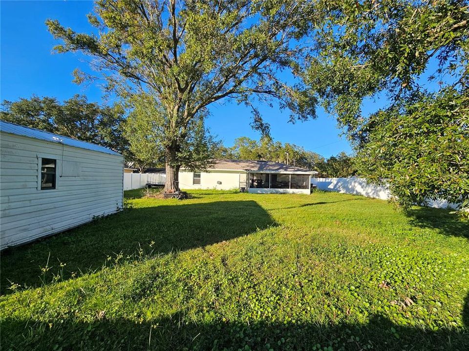 Backyard Facing Rear of House