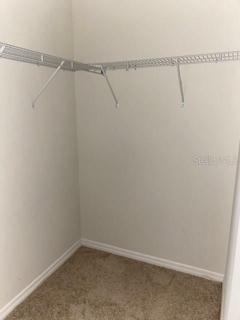 Primary walk in closet