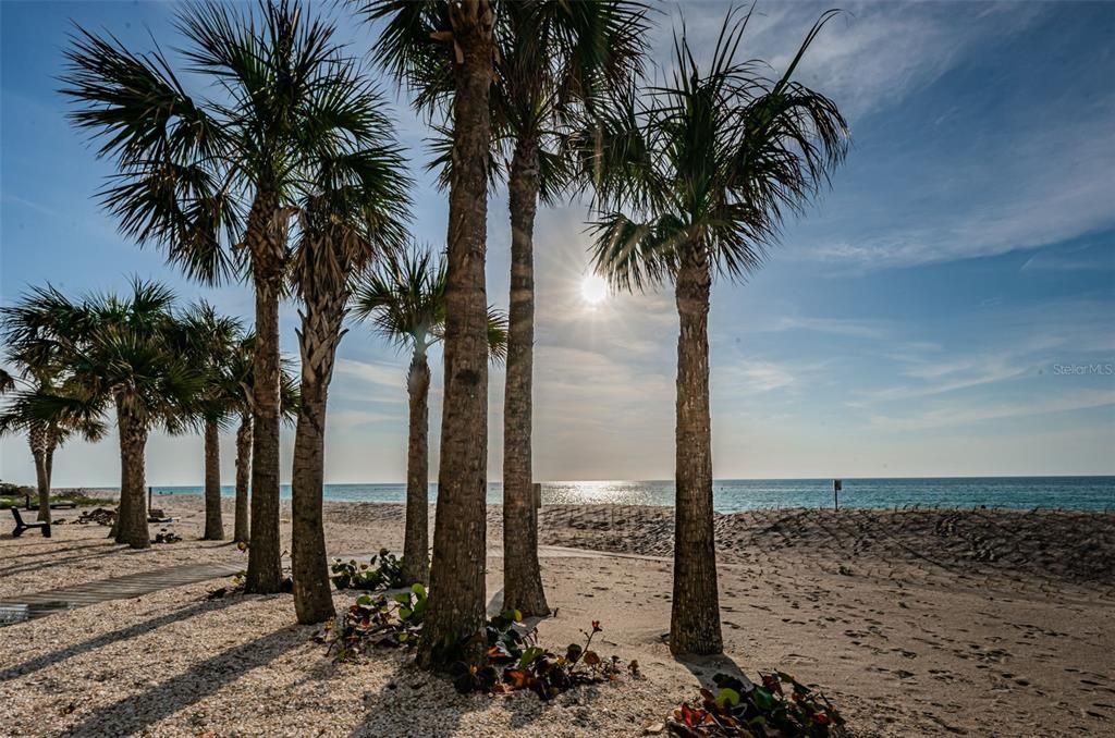 Dan's Island Private Beach