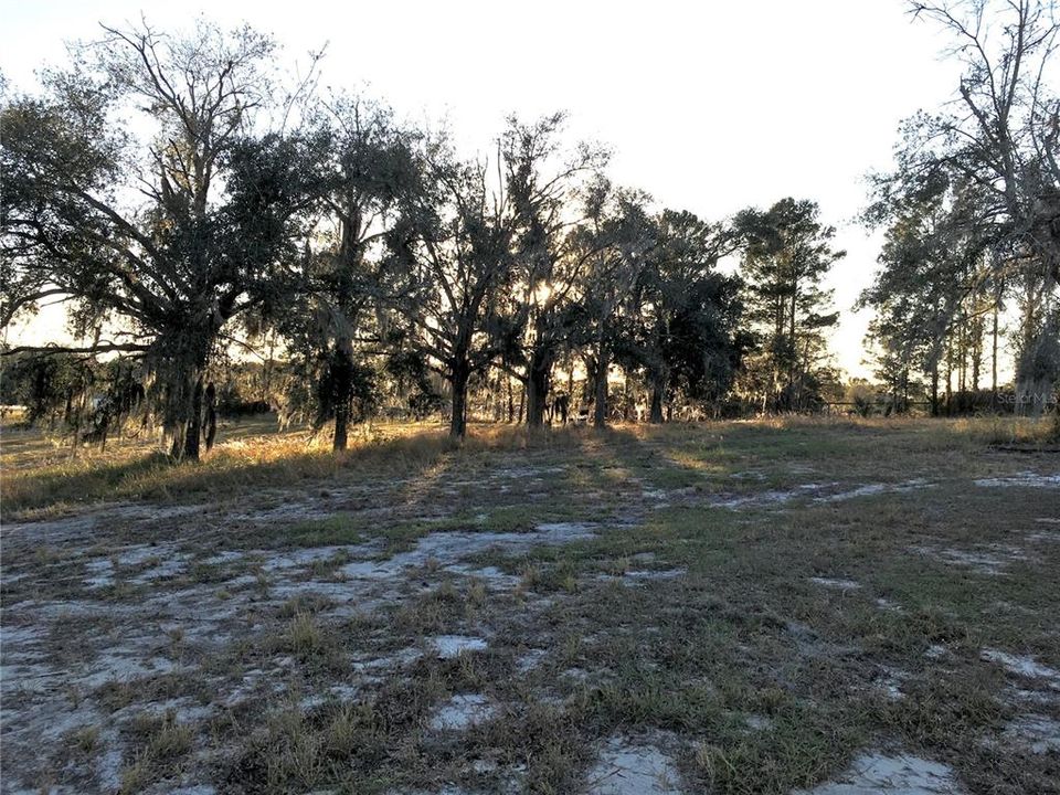 East View of Grounds