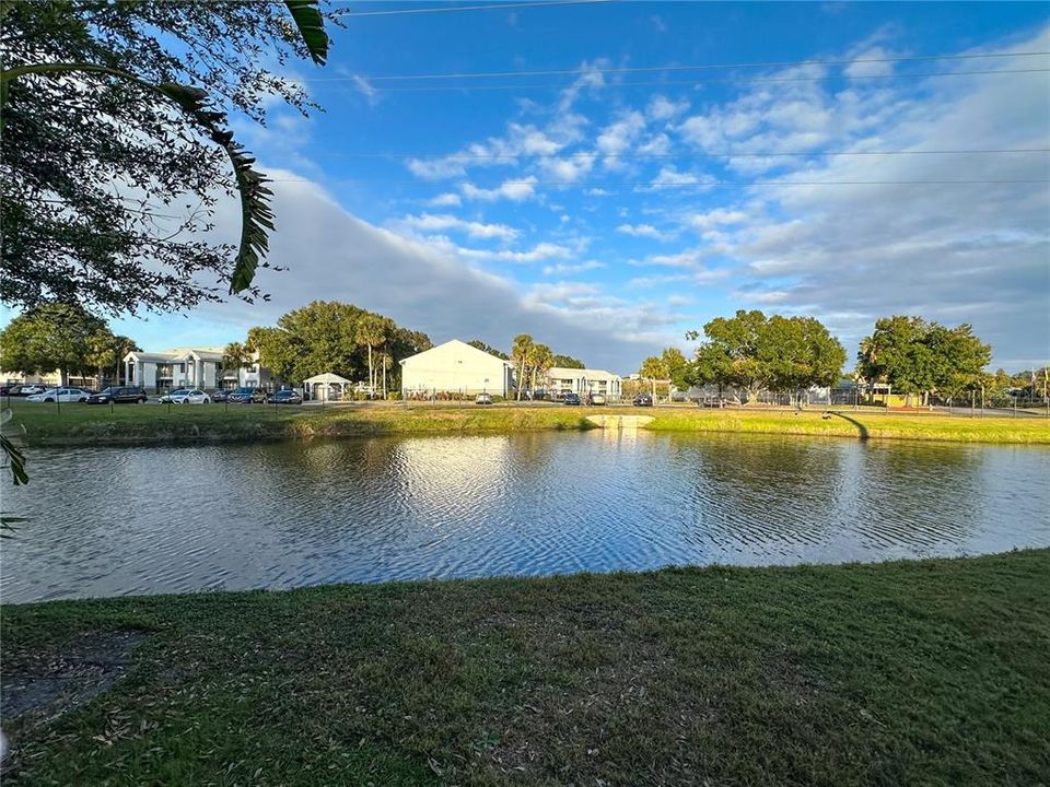 Pond View back of Condo