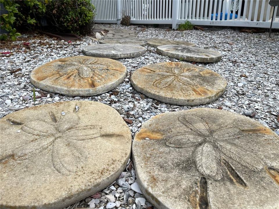 Sand dollar steps all around the house