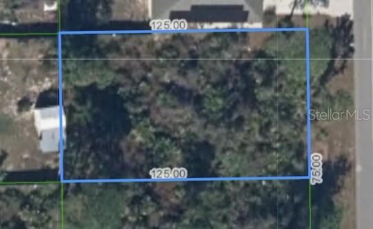 Wooded lot for sale on paved road in Sylvan Shores.