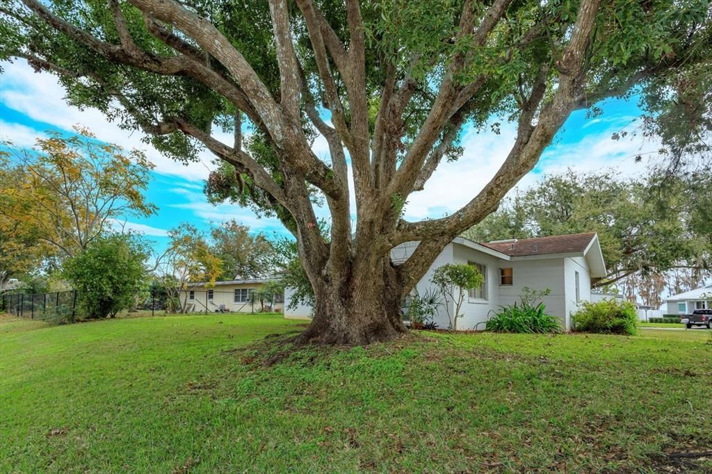 待售: $500,000 (3 贝兹, 2 浴室, 1345 平方英尺)