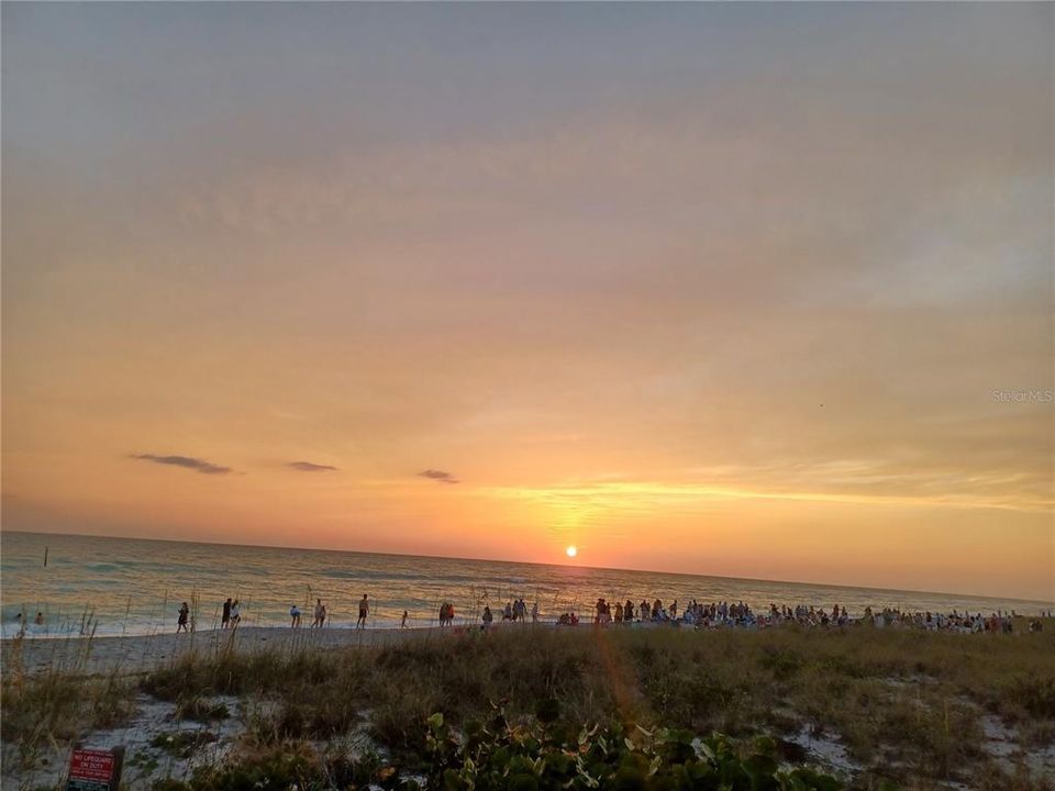 Drum Circle at sunset on Englewood Beach.