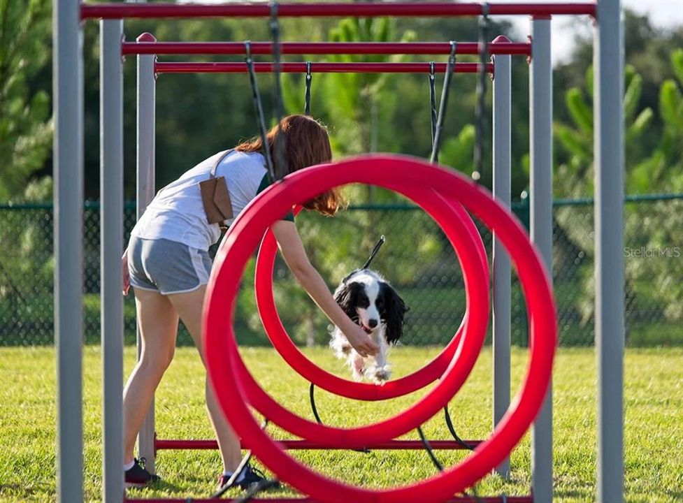 Community Dog Park