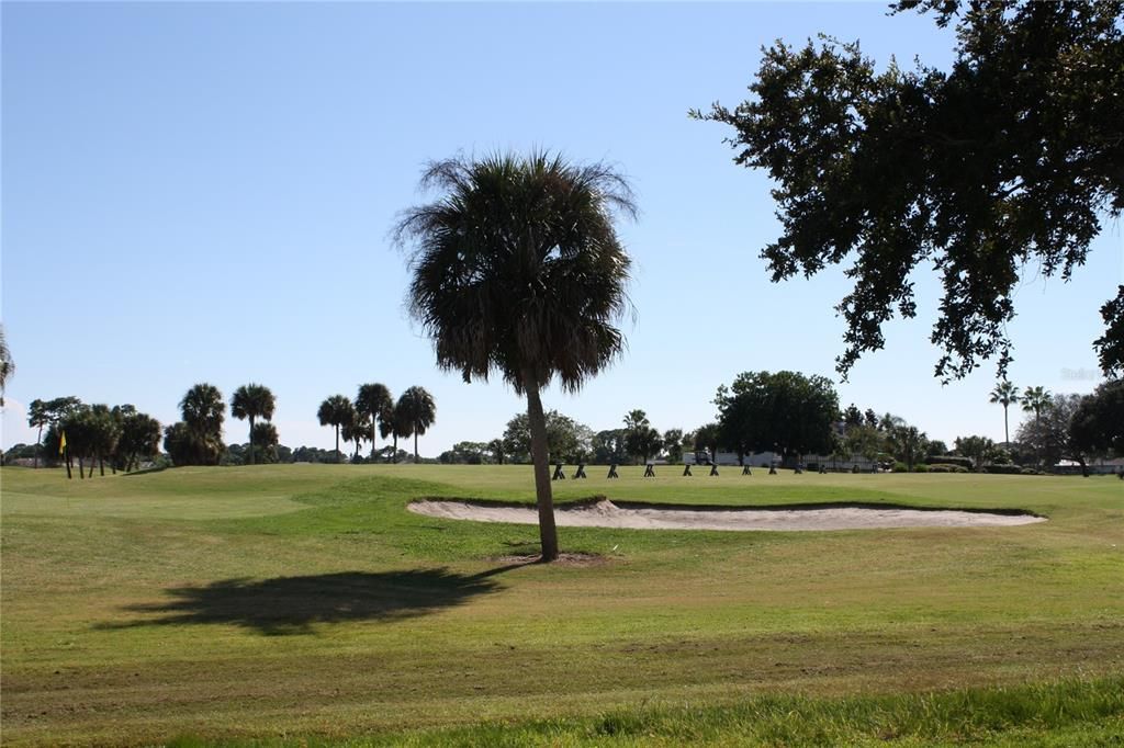 Rotonda Golfing