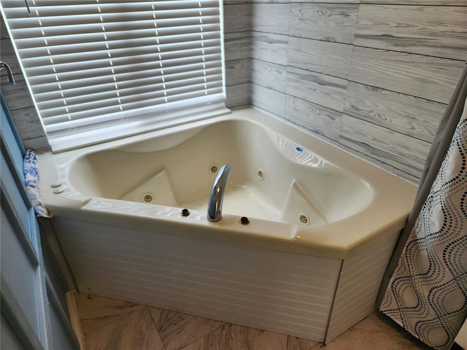 Front Home - Master Bath Spa Tub