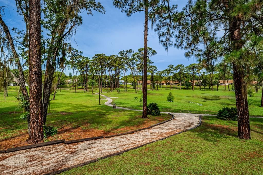 Walking trails in Bentley Park