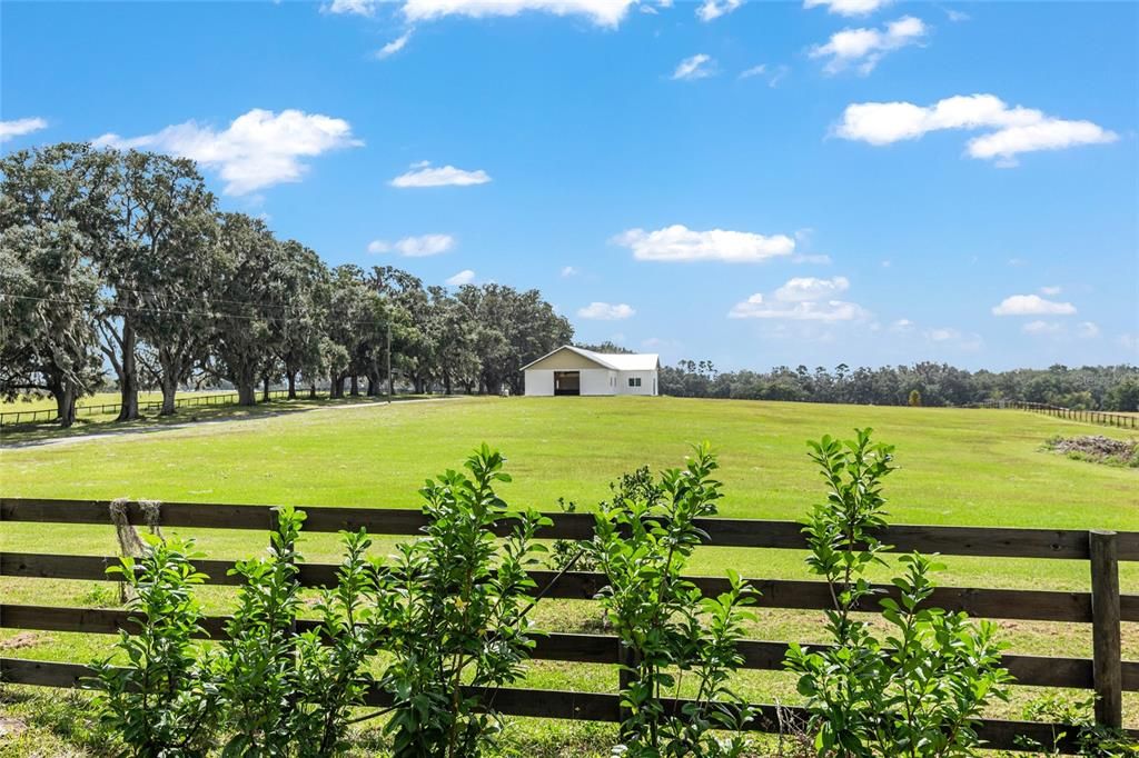 New Paddock - Four Board