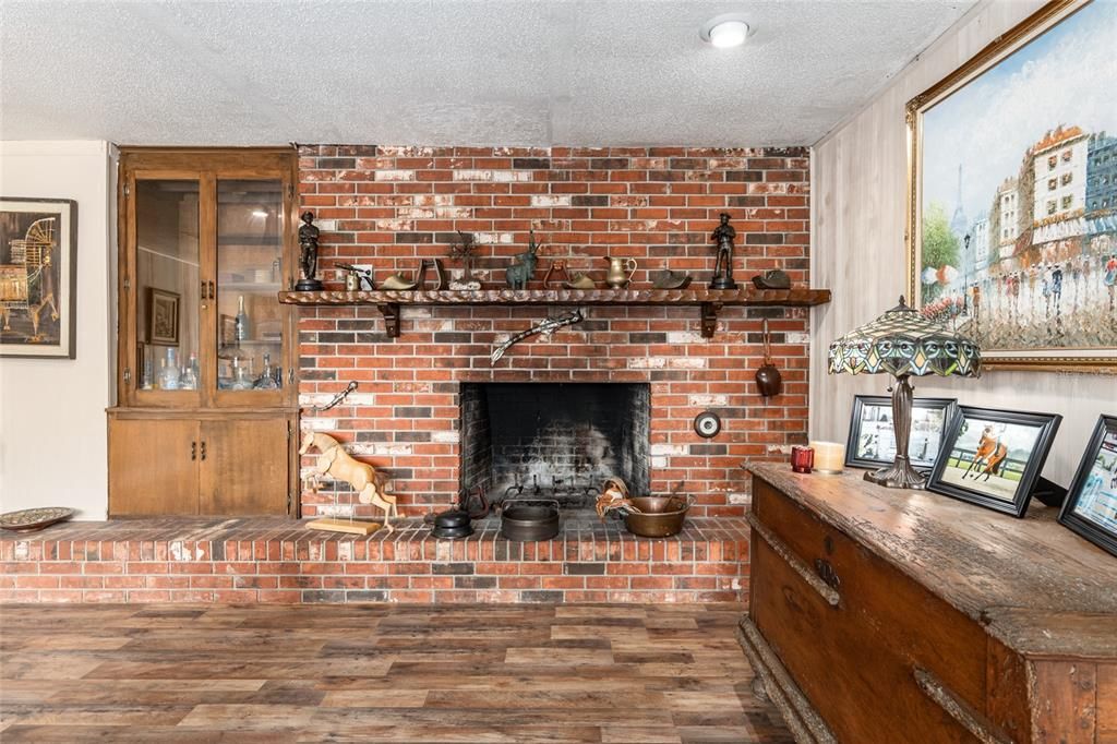 living room Fireplace