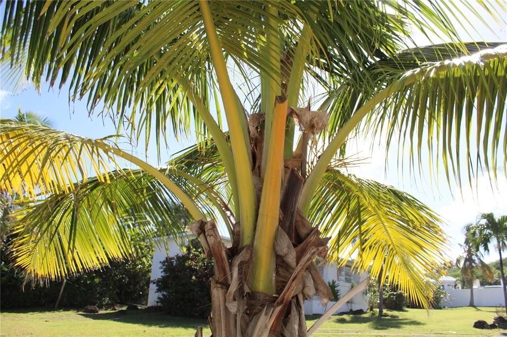 For Sale: $1,599,000 (4 beds, 4 baths, 3400 Square Feet)