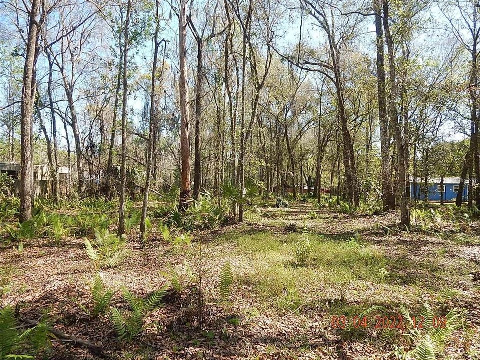 For Sale: $148,900 (1.03 acres)